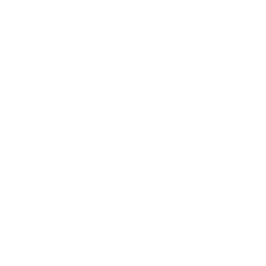 Insight Economics & Business Strategist, LLC